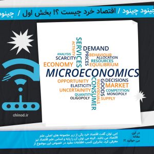 What is microeconomics? چینود
