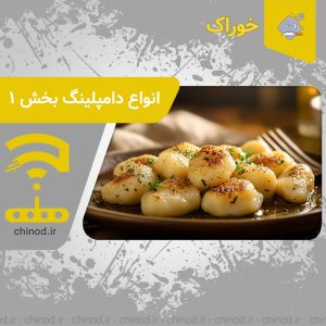 انواع دامپلینگ خوشمزه بخش اول Dumpling چینود chinod